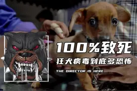 狂犬病为什么是近乎100％的致死率？图片