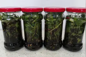 农家这种做法香菜超好吃，60年老秘方老配方，下饭凉拌面都好吃图片