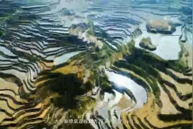 今天，新华网聚焦元阳！带你解密千年哈尼梯田的生态“密码图片