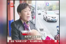 杭州四天办理1.1万件养犬证，狗狗主人心态在改变视频封面