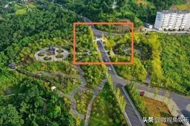 湖北21岁女大学生“晨跑遇害案”告破，女生应该如何保护自己？图片