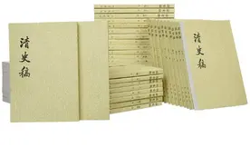 新的《清史》，自然要用新的书面通用语，白话文再合适不过图片