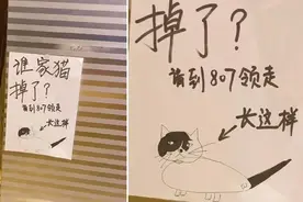 猫咪长得这么奇怪？原本以为乱画的寻猫启事，没想到是神还原图片