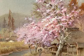 美轮美奂的风景色彩——樱花浪漫图片