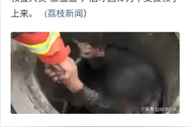 河南焦作：奇葩！男子无证驾驶被拦钻下水道躲猫猫图片