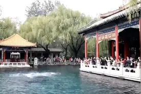 “天下第一泉”上了《新闻联播》！欢迎收看“30米水位的济南”图片