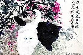 邓小平“黑猫白猫论”的求真务实精神与社会主义本质论的关系图片