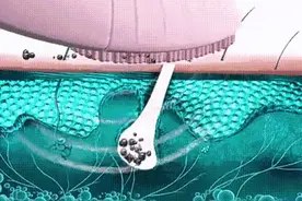 洗澡也玩黑科技！5种模式超声波震动清洁，1次充电可使用约 90 天图片