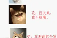 强推一本bl玄学文：《我五行缺你》超级好看的我n刷图片