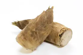 经常吃竹笋竟有这些好处，但两类人还是忍忍口，以免招病上身图片