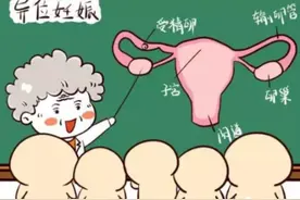 【崇州妇幼】关于“宫外孕”的一些事图片