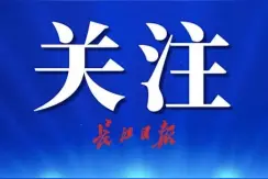 总投资24亿元！华大智造智能制造及研发基地在汉开工图片