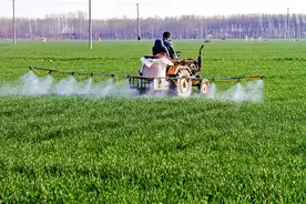 小麦打除草剂，可以和芸苔素、叶面肥混用吗？一文给你讲清楚图片