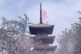 武汉周末游小提示，千万不要踩坑图片