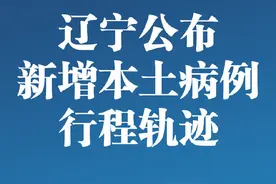 辽宁新增2例本土确诊病例 新增病例行程轨迹公布图片