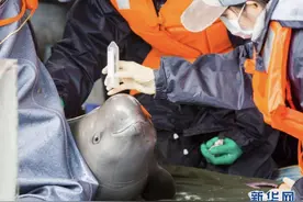 徐旭东：为水生生物保护鼓与呼图片