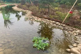 【我们的小康生活】高新区草堂街道：管网进村入户 村民彻底告别“黑臭水”图片