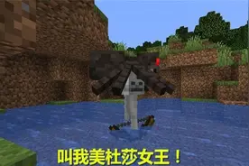 我的世界：除了四大神殿，竟然还有寒冰神殿？这个地方必须去一下图片