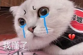 最新热门表情包动图片：撤回看个锤子图片