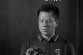 茶人赋丨悼今大福创始人何宝强图片