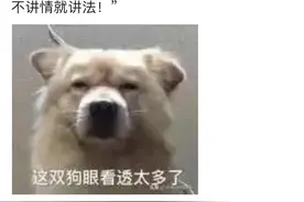 勤俭持家、宅心仁厚？图片