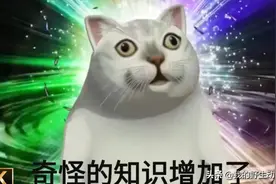 睾丸理论是什么？奇怪的知识又增加了图片