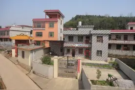 俗语“不怕青龙高万丈，就怕白虎抬头望”是什么意思？有道理吗？图片