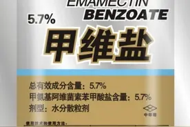 甲维盐杀虫活性高于阿维菌素3倍，但要避开低温和中午12点施药图片