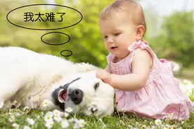 打妈妈脸、扯妈妈头发，娃“暴力行为”的背后，有你不知道的原因图片