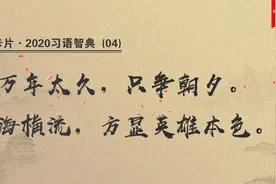 2020习语智典(04)：「只争朝夕」「沧海横流」图片