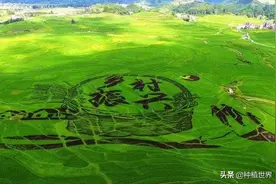 清明节现“返乡潮”，一些农民说不再返城打工了，什么情况？图片