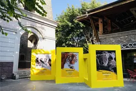 广州及周边看展，你和娃都不愁没处玩图片