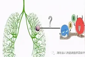 肺部小结节 无需大纠结图片
