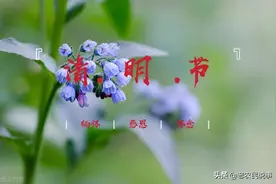农村俗语：闺女上坟家无后，女婿上坟家破亡，啥意思？有道理吗？图片