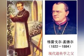 近代遗传学之父孟德尔是如何发现遗传定律的？图片