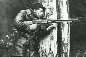 从兄弟到仇雠，1941—1947，波兰与乌克兰的种族暴力冲突图片