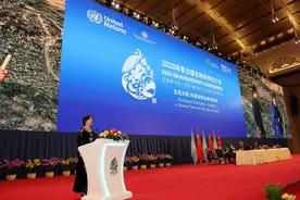 拍短视频吸引百万网友关注河狸，90后抖音创作者登上联合国讲台图片