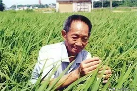 袁隆平住院原因曝光，在试验基地摔了一跤，之后身体状况急转直下图片