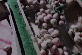网评：“最表里不一的水果”你知道是什么吗？吃了教你长记性图片