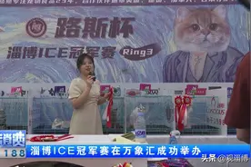 ICE淄博世界名猫展在万象汇成功举办图片