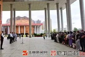 不可错过！博白王力宗师传奇的人生经历，激人奋进图片