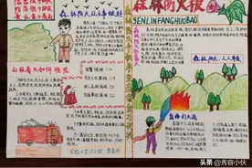 忻州市实验小学组织办手抄报活动宣传预防森林火灾图片