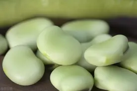 趁着蚕豆大量上市，多买些保存起来，学会这一招，放一年都很新鲜图片