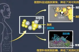 世界十大灾难1：人类最糟糕的发明-塑料图片