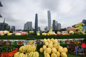 袁隆平院士为广东庆祝丰收节活动送祝福，听听他都讲了啥图片