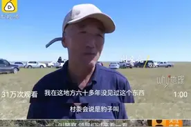 明星被扣留17天，释放那天全网欢呼图片