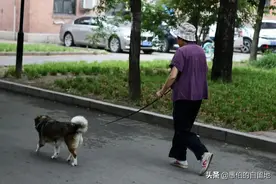 我们小区里，那个包工头的老婆图片