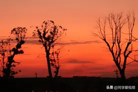 剪影真的很美图片