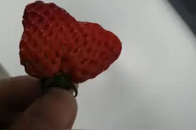 心形的草莓图片