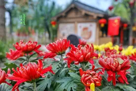 开封网红之地 规模宏大的仿宋古建筑群 再现大宋东京盛景图片